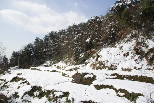 雪地風(fēng)景 小路 積雪鋪地