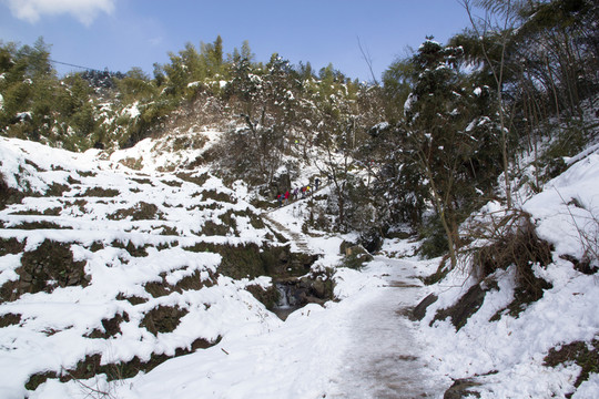 雪地風(fēng)景 小路 積雪鋪地