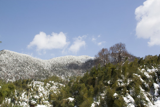 雪景風(fēng)光