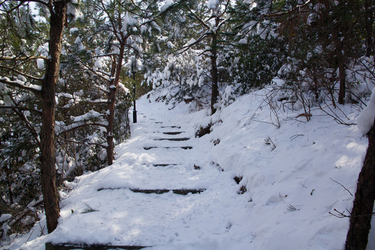 雪景道路