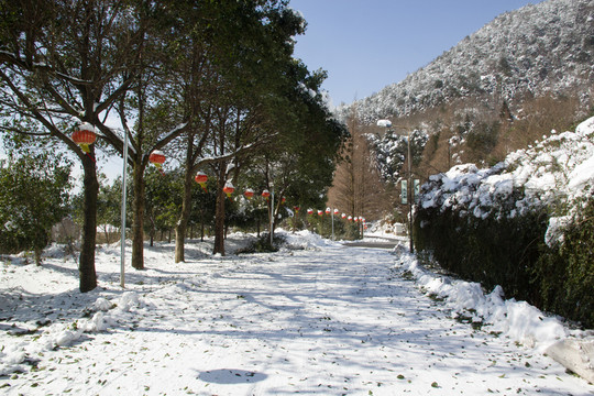 雪景大道 下雪風(fēng)光