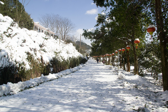 雪景道路大紅燈籠