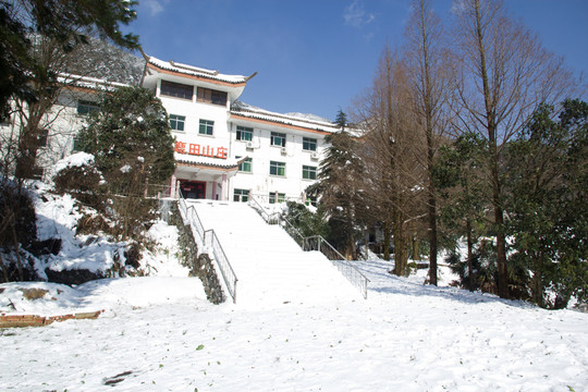下雪天 小路 樹木 山村酒店