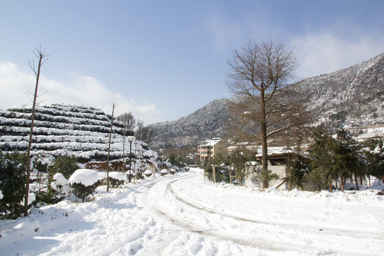 雪景風(fēng)光 山丘 樹 白云