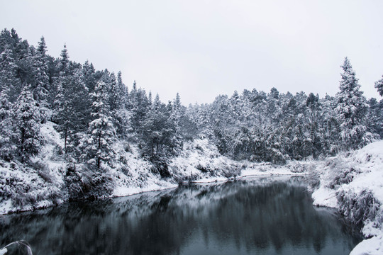雪景