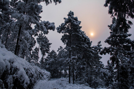 雪景
