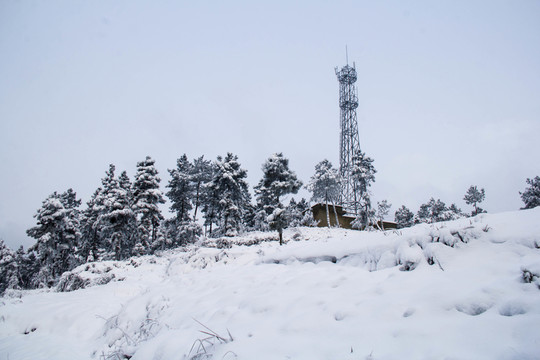 雪景