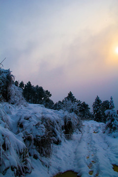 雪景