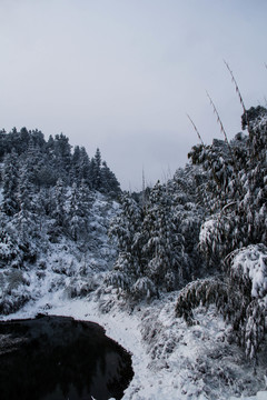 雪景