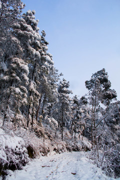 雪景