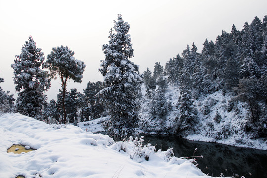 雪景