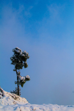 雪景