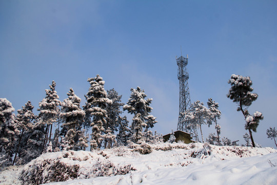 雪景