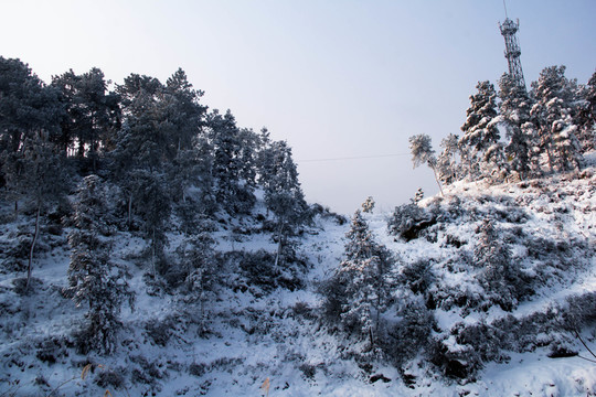 雪景
