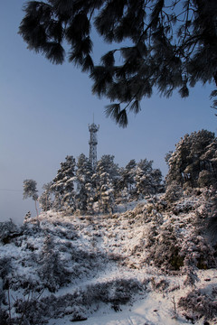 雪景