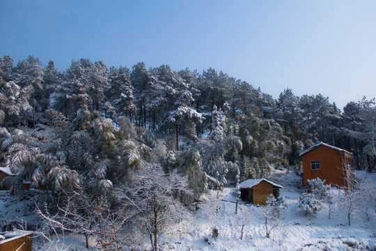 雪景