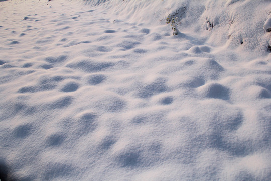 雪景