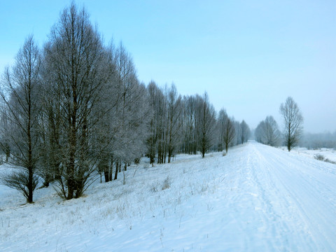 鋪滿積雪的道路