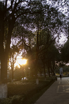 夕陽西下