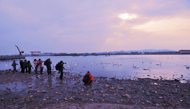 天鵝湖