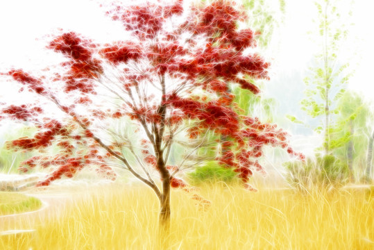 抽象風(fēng)景畫 紅楓風(fēng)景