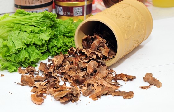 分心木 隔心木 核桃瓣膜