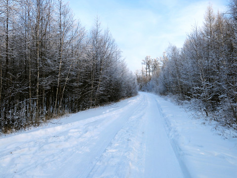 冬季森林積雪道路