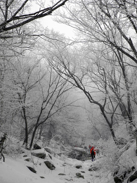 雪的山谷