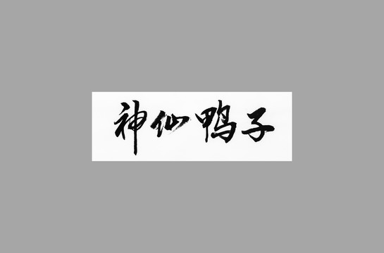 神仙鴨子