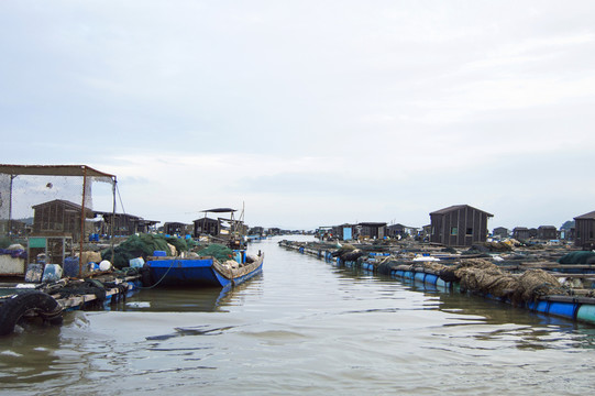 海上魚排