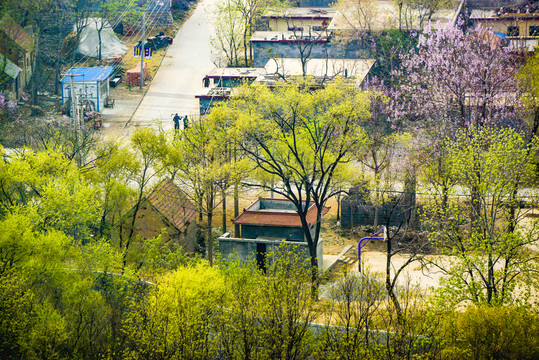 鄉(xiāng)村春景