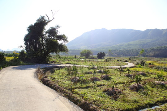 小路
