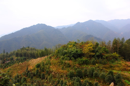 高山