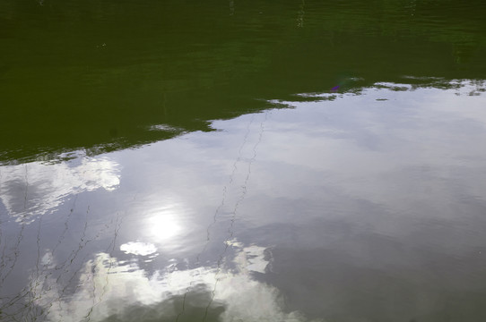 水中太陽(yáng)