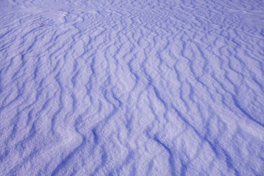 雪原雪痕