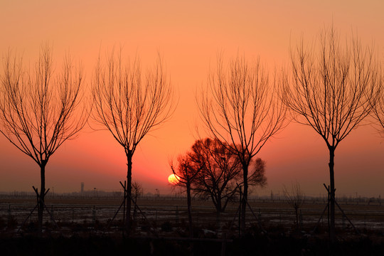 夕陽