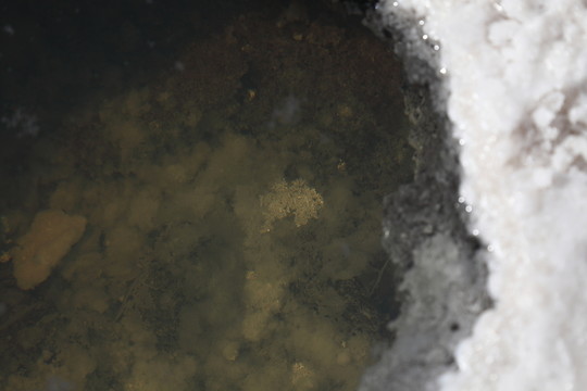 茶卡鹽湖