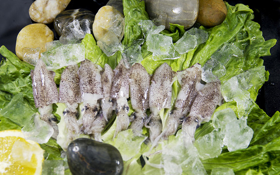 魷魚(yú)仔