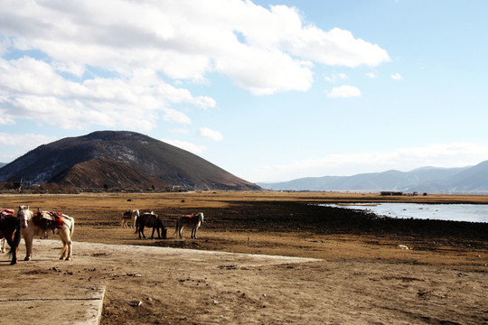 馬場(chǎng)