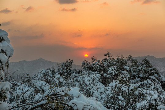 金華四顧坪日出 雪景