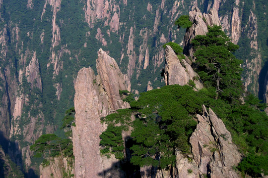 黃山風(fēng)光
