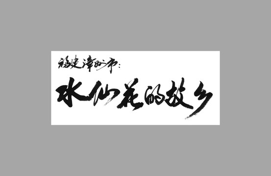 福建漳州市水仙花的故鄉(xiāng)