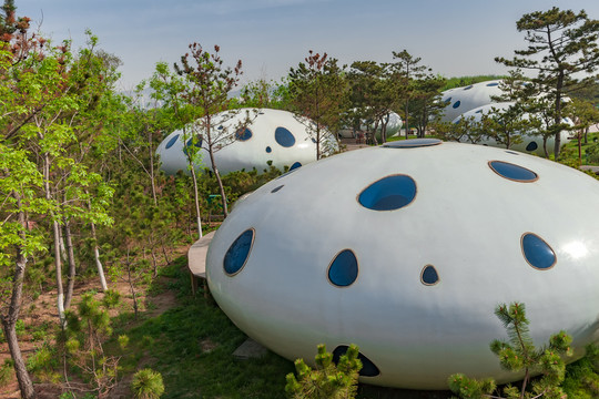 沖淡房
