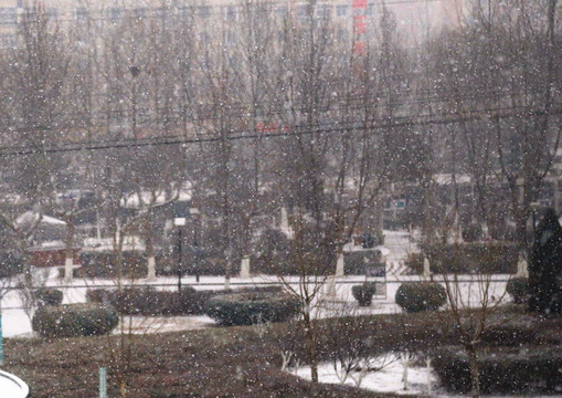 落雪