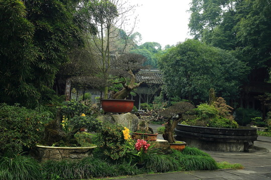盆景園