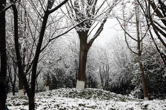 冰天雪地