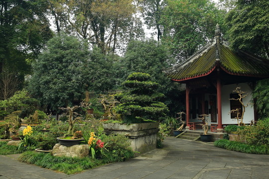 盆景園
