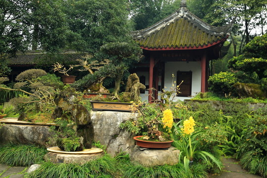 盆景園