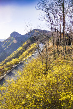 山東青州仰天山春天