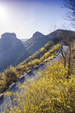 山東青州仰天山春天